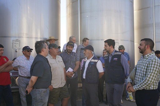 ASESORÍA EXPERTA ENTREGARÁ INDAP A VIÑATEROS AFECTADOS POR INCENDIOS EN VALLE DEL ITATA