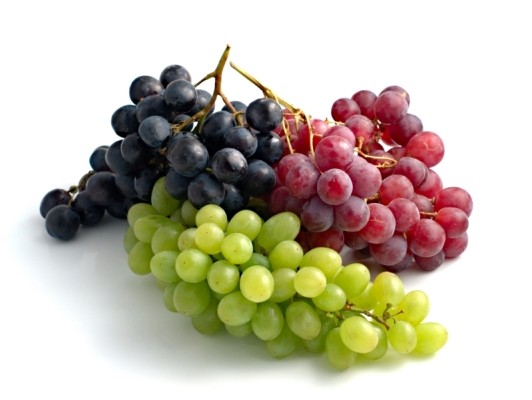 Provid: Perú prevé exportaciones de uvas por sobre los 73 millones de cajas. A la fecha los envíos superan los 61 millones