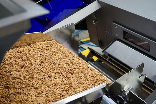 CÓMO LOS PROCESADORES DE FRUTOS SECOS PUEDEN BENEFICIARSE DE LAS ÚLTIMAS TECNOLOGÍAS DE CLASIFICACIÓN