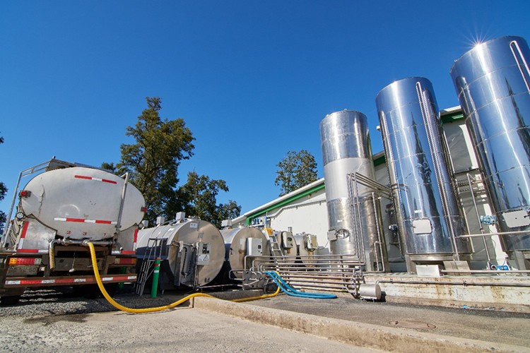 Ranking de la industria láctea concluye 2022 con resultado mixto en la compra de leche cruda