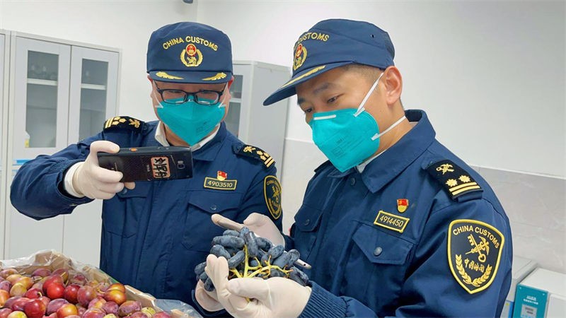 Hunan importa frutas chilenas a través del corredor aéreo de carga Changsha-Addis Abeba