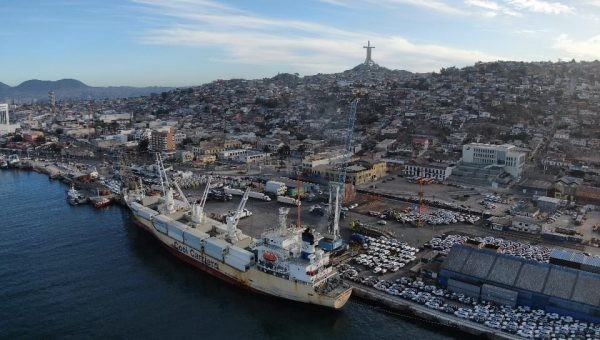 Terminal Puerto Coquimbo prepara embarque de 5.500 pallets con fruta