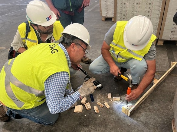 SAG Biobío interceptó plagas de importancia forestal en embalajes de madera de importaciones