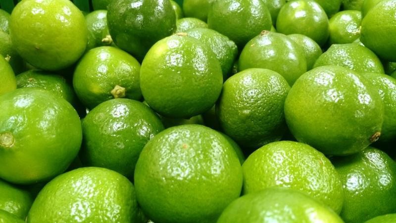 Perú: Exportaciones de limón alcanzan las 6.956 toneladas en lo que va de la presente campaña
