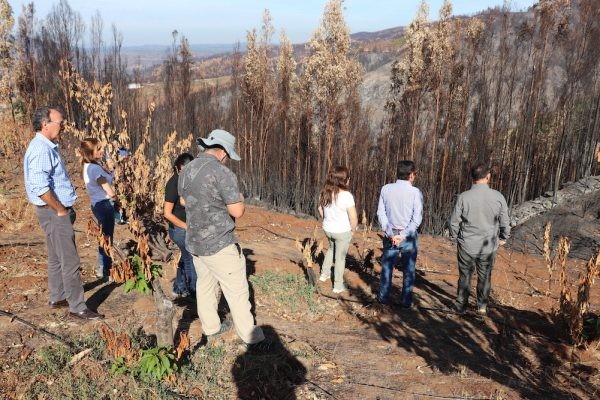 Región de Ñuble: ASOEX visita a pequeños productores de cerezas afectados por los incendios