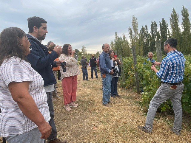 400 PEQUEÑOS VIÑATEROS DEL ITATA AFECTADOS POR INCENDIOS FORESTALES COMENZARON A RECIBIR ASESORÍA ESPECIALIZADA DE INDAP