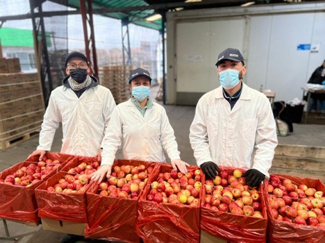 Silvia Piezzi, de Cesil Import&Export: La calidad de las manzanas chilenas Gala es mejor que en años anteriores