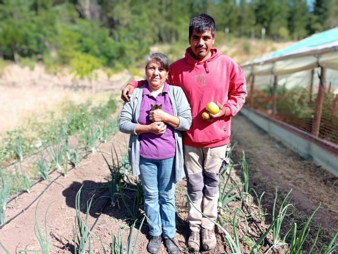 Programa de Pequeña Agricultura 2.0: CNR destaca exitosa asignación de proyectos a consultores para acelerar apoyo a la pequeña agricultura de Ñuble y Biobío
