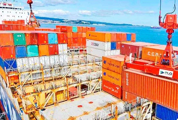 Exportaciones de Ñuble anotan fuerte caída de 34,9% en enero