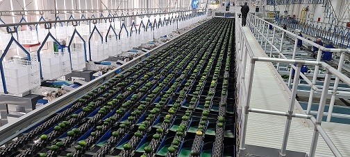 TOMRA FOOD COMPARTE SUS CONOCIMIENTOS ESPECIALIZADOS EN EL CONGRESO MUNDIAL DEL AGUACATE