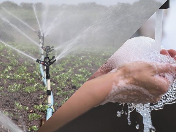 Gobierno ingresa proyecto de ley que permite regar cultivos agrícolas con agua reciclada