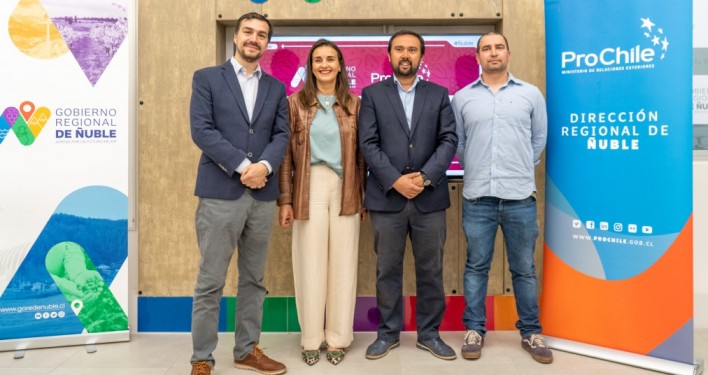 Viñas del Valle de Itata marcarán presencia en feria de vinos en Países Bajos