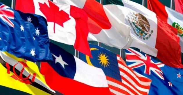 LOS BENEFICIOS Y OPORTUNIDADES DE LA ENTRADA EN VIGENCIA DEL TPP11 PARA LAS EXPORTACIONES CHILENAS DE CARNES BLANCAS