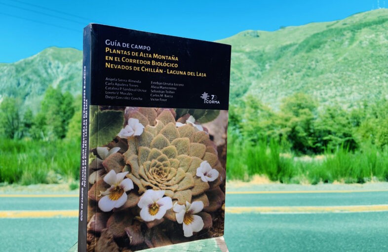 Lanzan Guía de Campo que identifica más de un centenar de plantas que crecen en plena cordillera