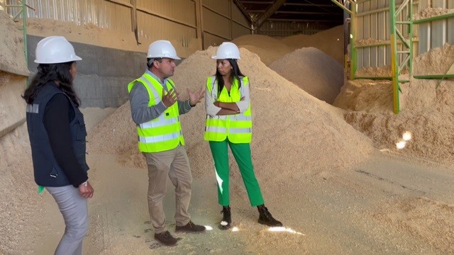 Autoridades monitorean producción y distribución de pellet en la Provincia de Biobío