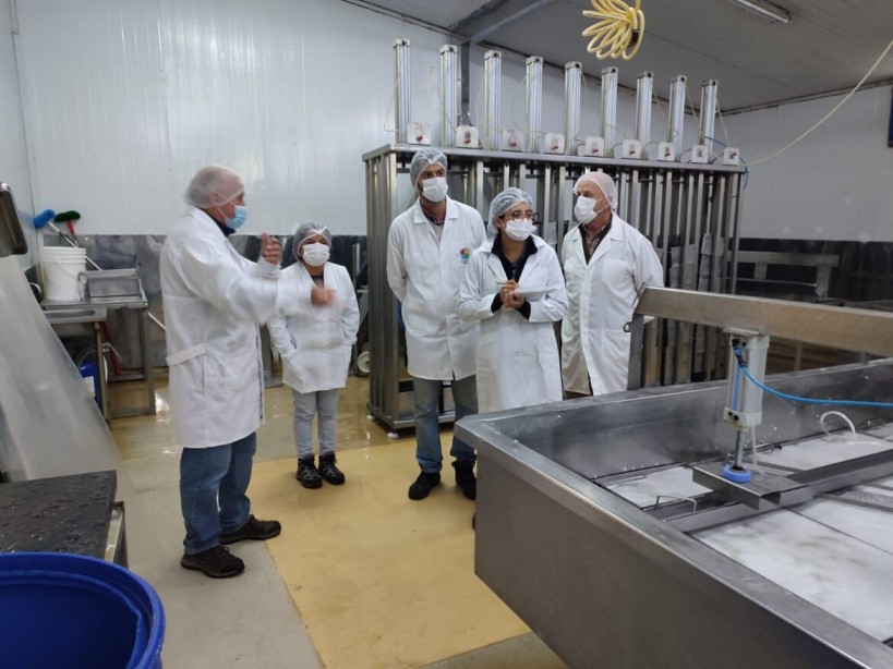 Regiones de Los Ríos y de Los Lagos: Proyecto sobre sanitización de plantas de lácteos y salmones efectuó gira técnica