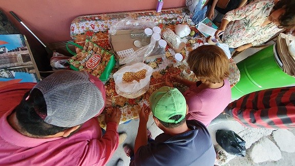 Agricultores de San Vicente de Tagua-Tagua aprenden a cosechar y conservar semillas tradicionales