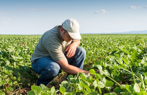 Ministros de agricultura se reúnen en Chile para impulsar mitigación del cambio climático