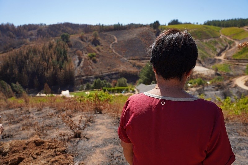 INDAP anuncia condonación de deudas y nuevo crédito para agricultores afectados por incendios  