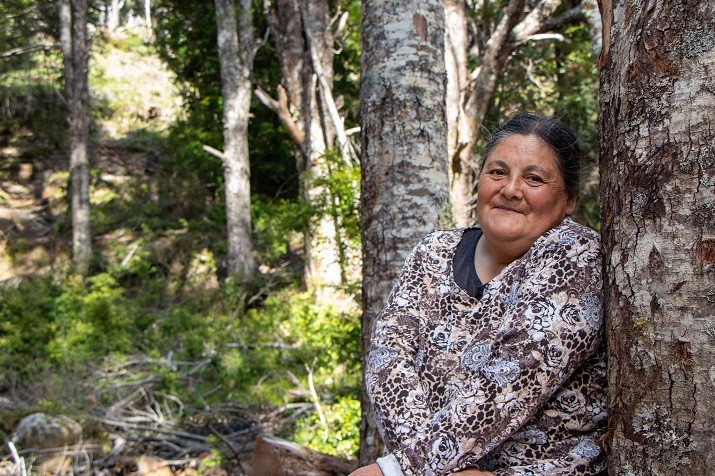 INDAP y CONAF firman importante convenio que permitirá facilitar el acceso a financiamiento para restauración de bosques nativos