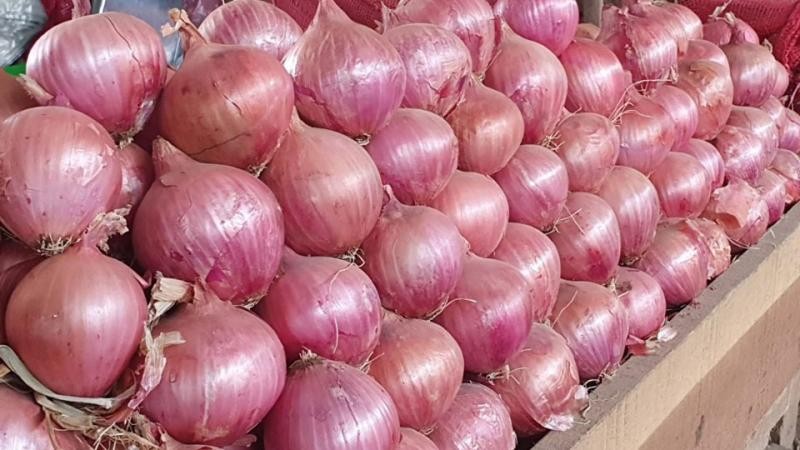 Perú exportó cebolla en fresco por US$ 17.8 millones en el primer trimestre de 2023