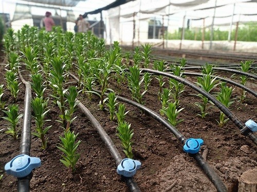 Más de 11.500 millones de pesos dispondrá Ñuble para proyectos de riego