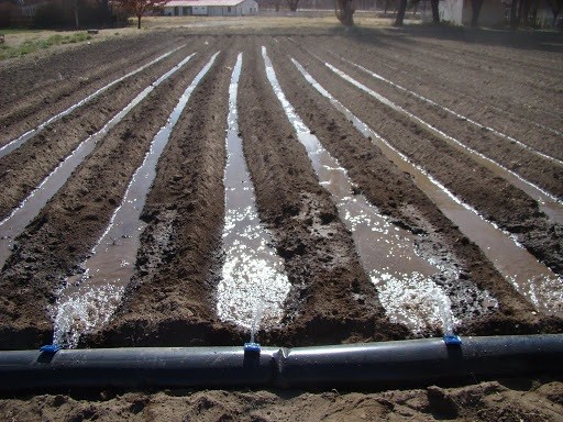 Regantes del norte chico cuentan con $200 millones para financiar sus iniciativas mediante Programa de Pequeña Agricultura