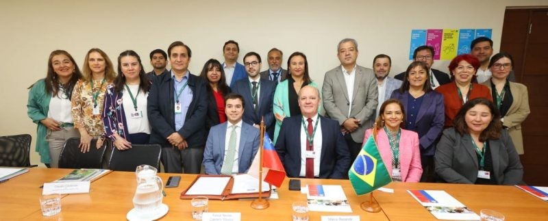 Exportadores de frutas incrementan presencia en Brasil: Granadas chilenas reciben luz verde