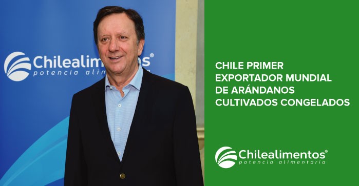 CHILE SE POSICIONA COMO EL PRINCIPAL EXPORTADOR DE ARÁNDANOS CONGELADOS CULTIVADOS DEL MUNDO