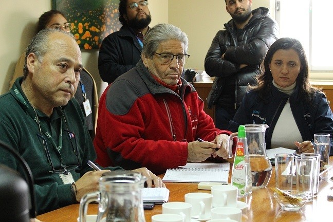 Decretan emergencia agrícola por gripe aviar para la provincia de Concepción