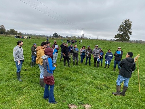 Consorcio Lechero presentó nueva Guía de Campo sobre manejo de pastoreo