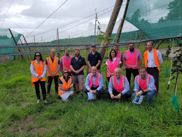 Chile y Nueva Zelanda: Dos potencias exportadoras de frutas del hemisferio sur buscan estrechar lazos y avanzar en la cooperación