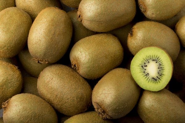 Comité del Kiwi de Chile destaca mayor materia seca en kiwis exportados esta temporada 2023