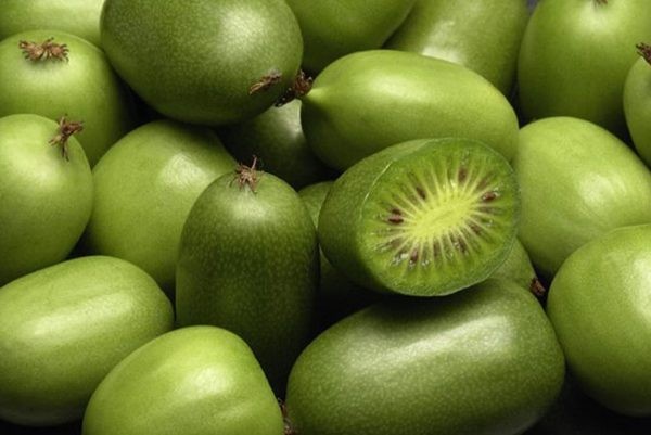 China autoriza la entrada de kiwi berries franceses