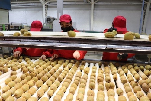Ministro de Agricultura destaca labor del sector exportador de frutas frescas durante visita en la región de Valparaíso
