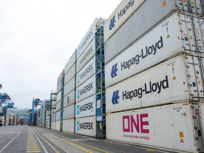 La terminal chilena TPS cierra la temporada de fruta con un aumento del 12% en carga paletizada