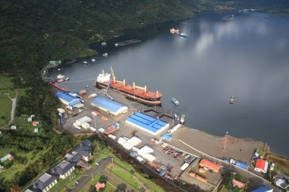 Puerto Chacabuco espera concretar exportación de madera este año