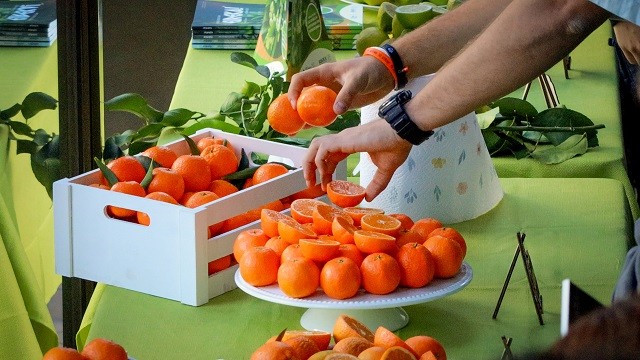Isabelina, la nueva variedad de mandarina producida sin necesidad de enmallar los predios