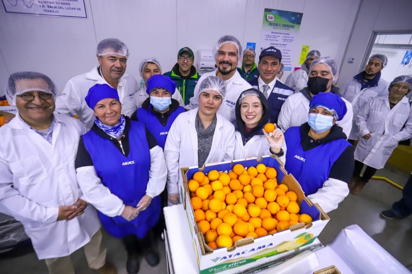 Ministro de Agricultura destaca incremento de inspecciones de cítricos en Sitio de Inspección Fitosanitaria de Coquimbo