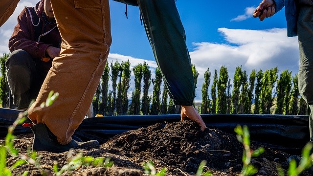 Proyectos FIA se presentan como alternativas para la restauración ecológica de zonas afectadas por incendios