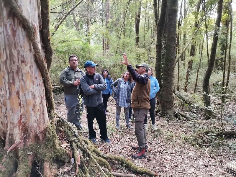 CONAF celebra aniversario 53 resaltando su labor en conservación y protección de ecosistemas