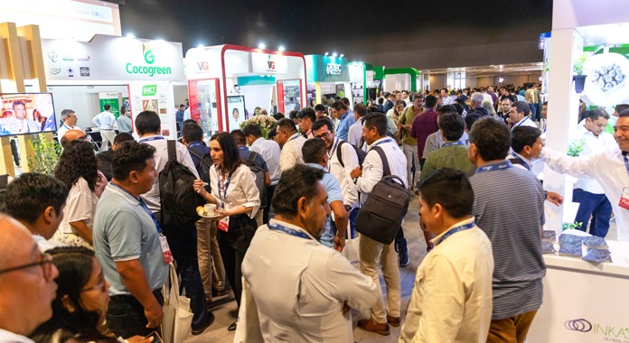 Blueberries Consulting reunirá a la industria del arándano en Marruecos