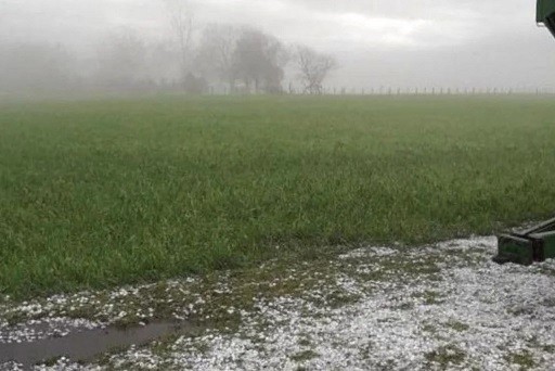 Argentina: La sequía queda atrás y las lluvias alientan la próxima cosecha