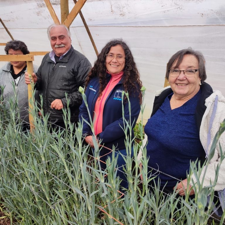 En solo seis meses floricultores de Longotoma logran implementar un nuevo sistema de producción hidropónica en medio sólido