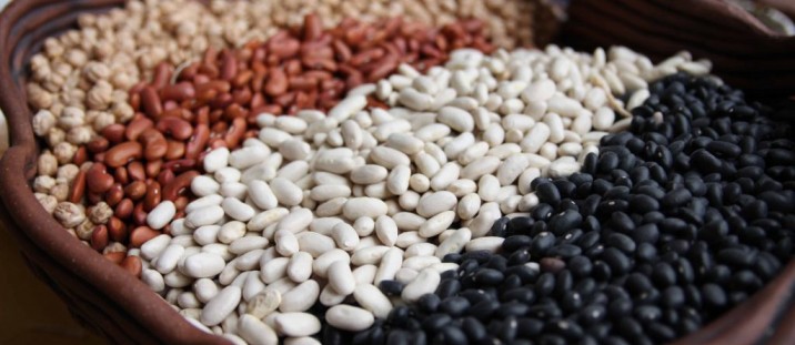 La Argentina exporta 95% de los porotos que produce y es uno de los mayores vendedores del mundo