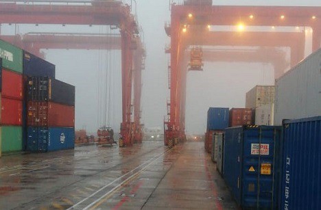 Sudáfrica: Intensas lluvias podrían disminuir exportaciones de cítricos