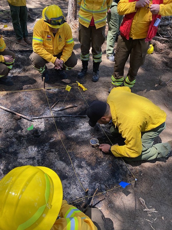 La Corporación Nacional Forestal incrementó sustancialmente el número de incendios investigados y fortaleció su unidad de análisis y diagnóstico