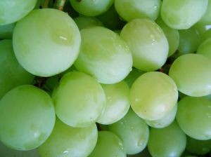 Productividad y estructura de costos: puntos críticos para los productores de uva de mesa