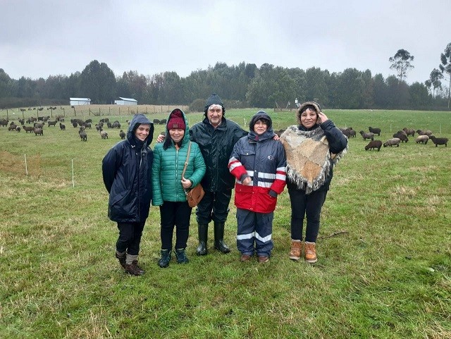 Promueven forrajeras resistentes al déficit hídrico en Chiloé