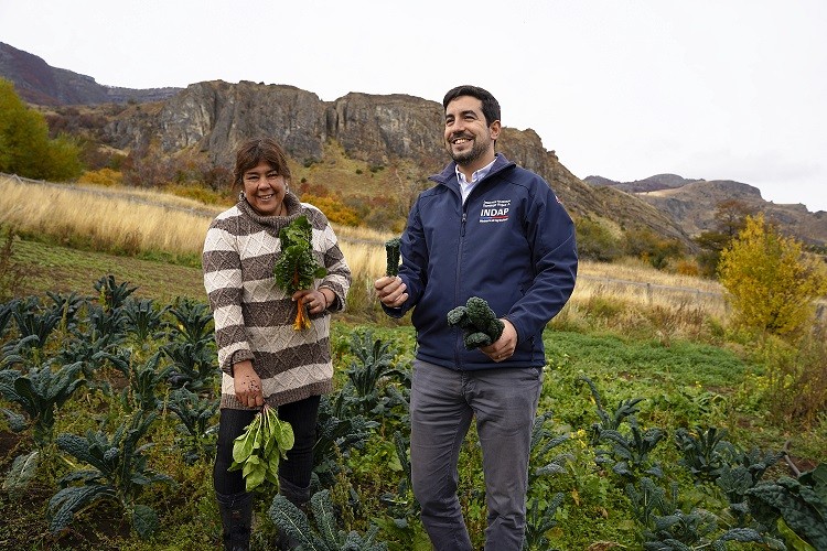 INDAP abre proceso de postulación a nuevo programa para la Transición a la Agricultura Sostenible